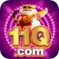 11q Money Master v4.5.9